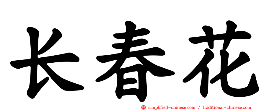 长春花