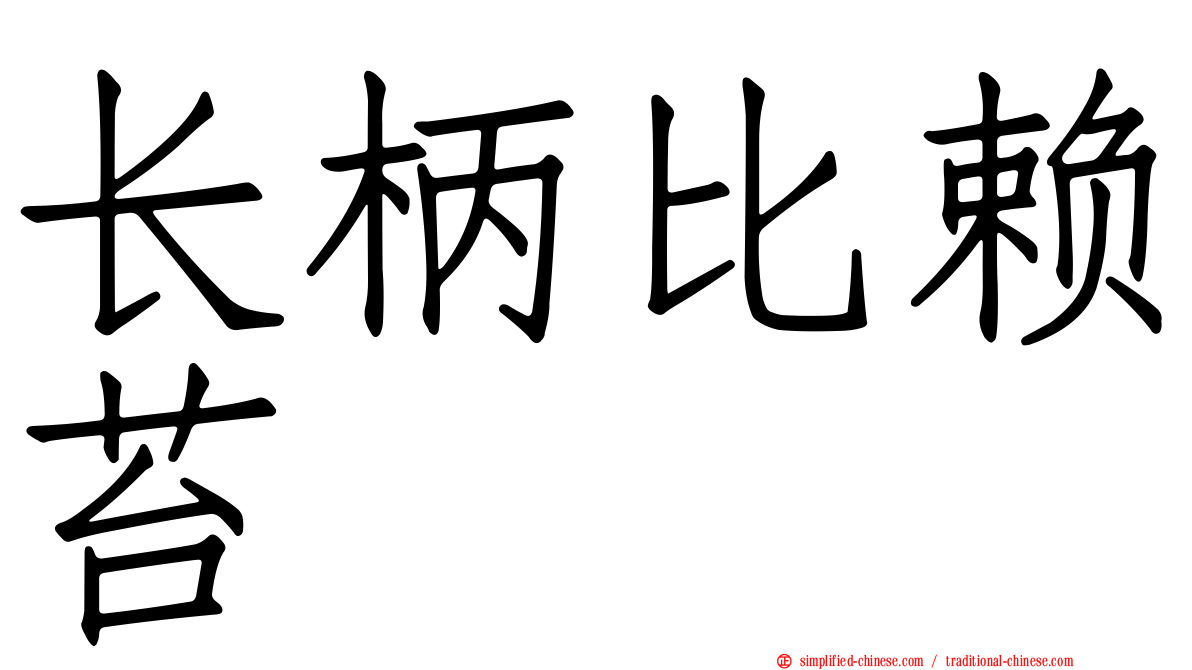 长柄比赖苔