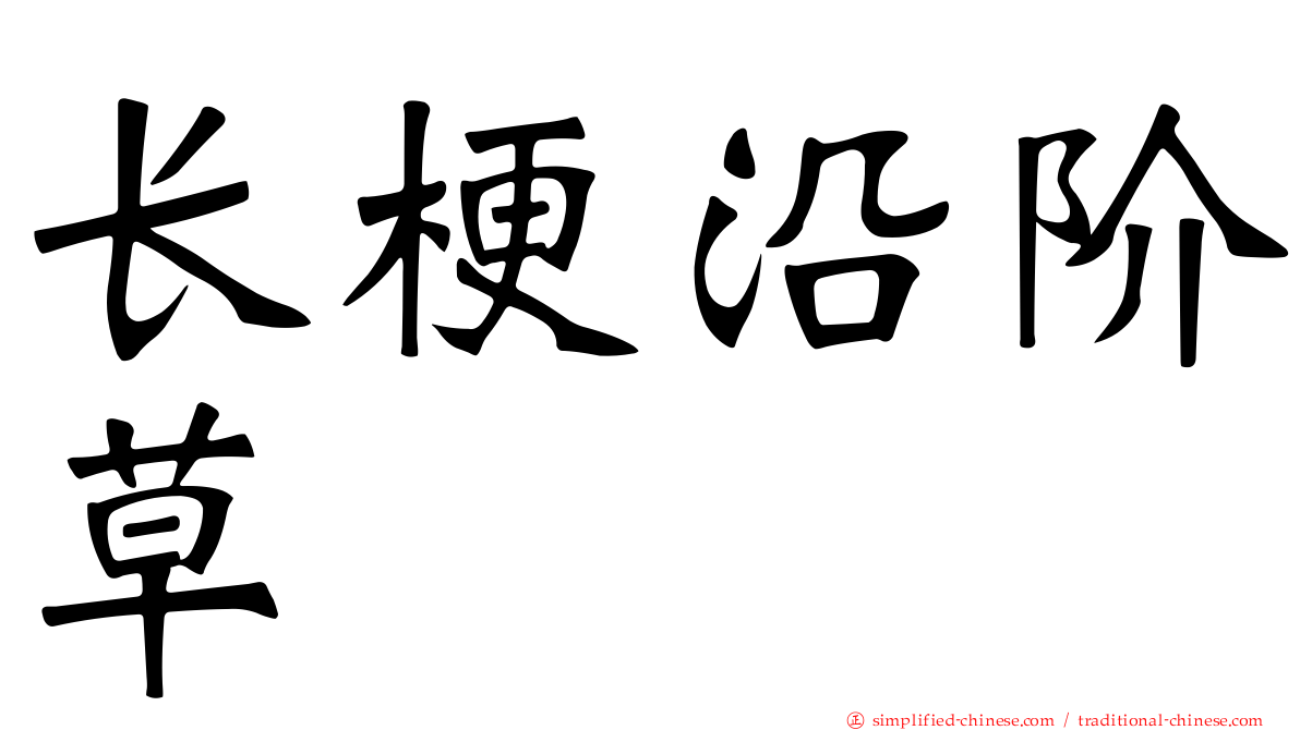 长梗沿阶草