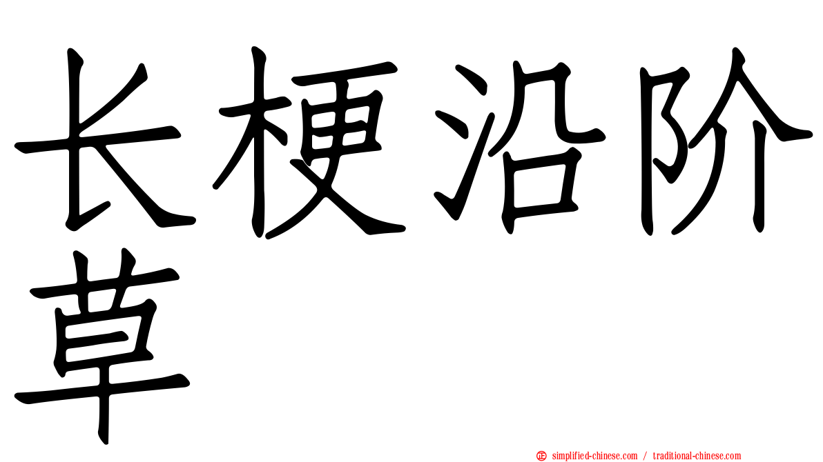 长梗沿阶草