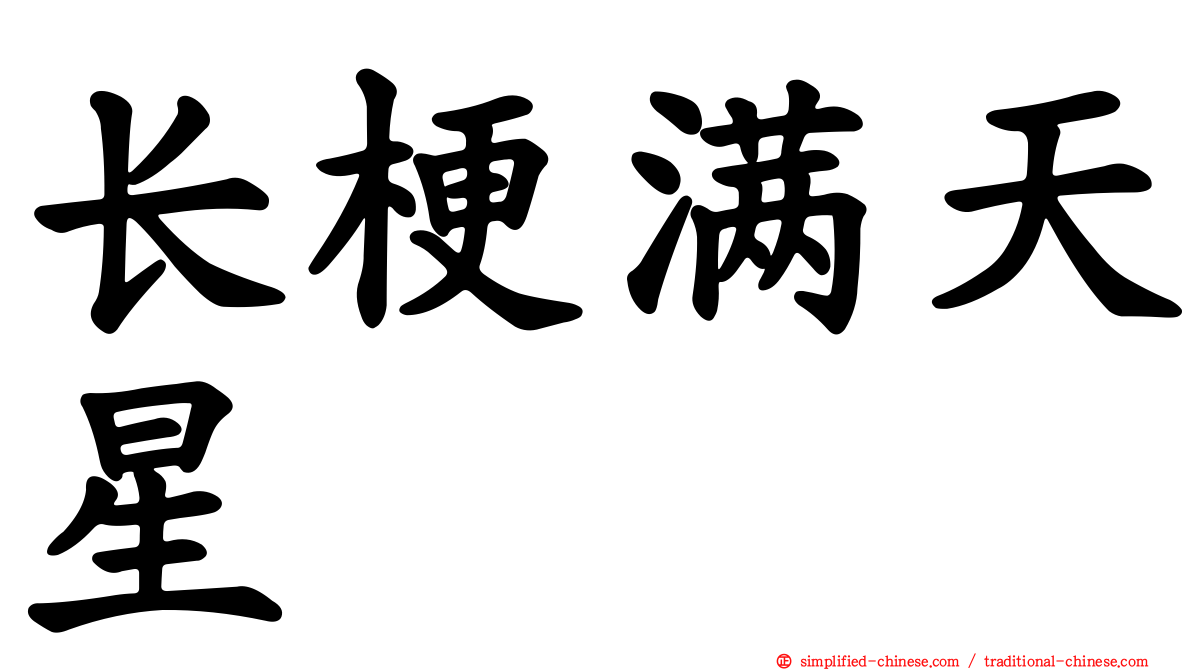 长梗满天星