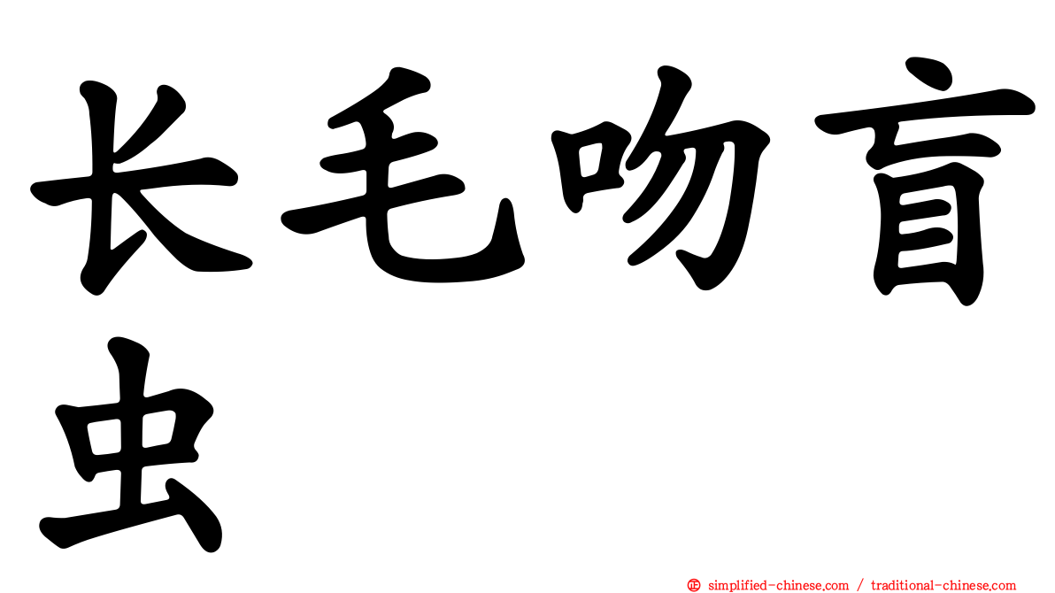 长毛吻盲虫