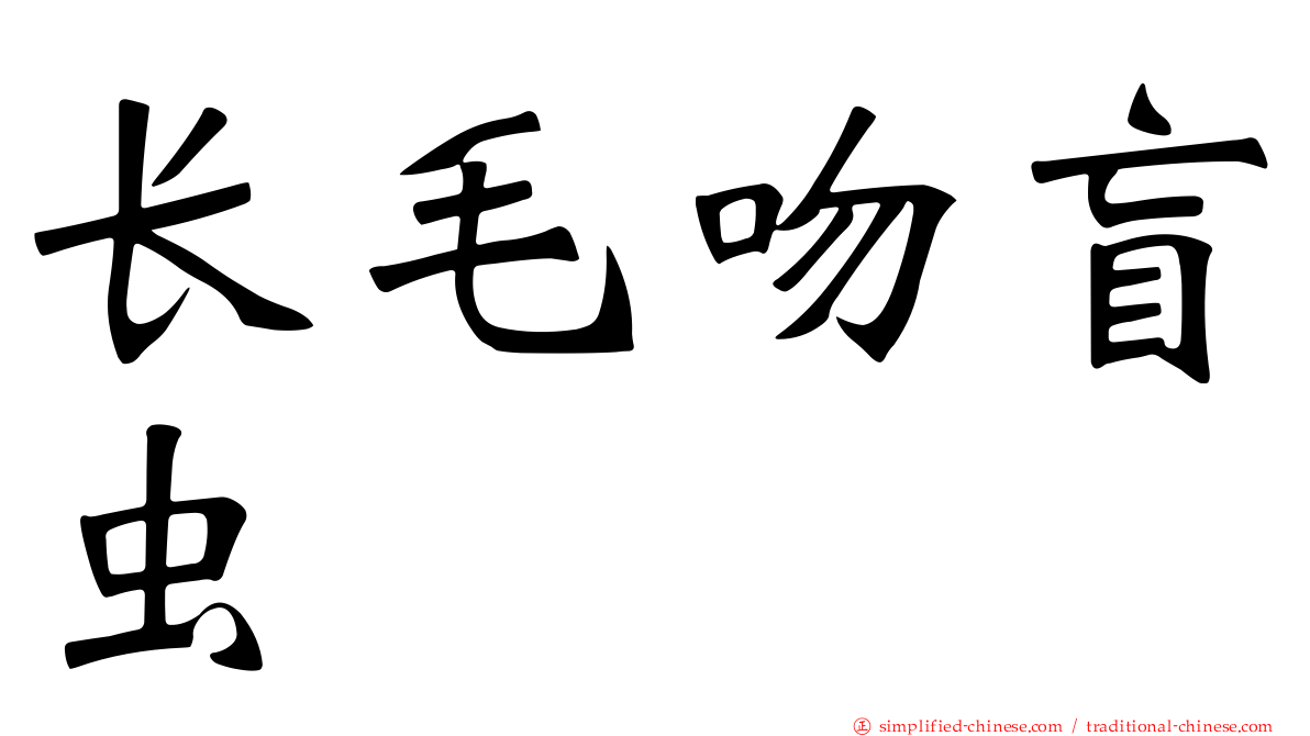 长毛吻盲虫