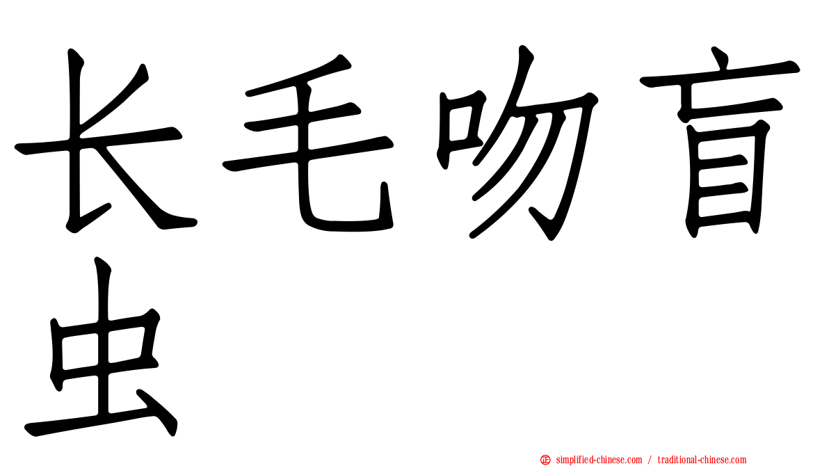 长毛吻盲虫