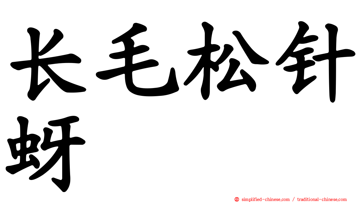 长毛松针蚜