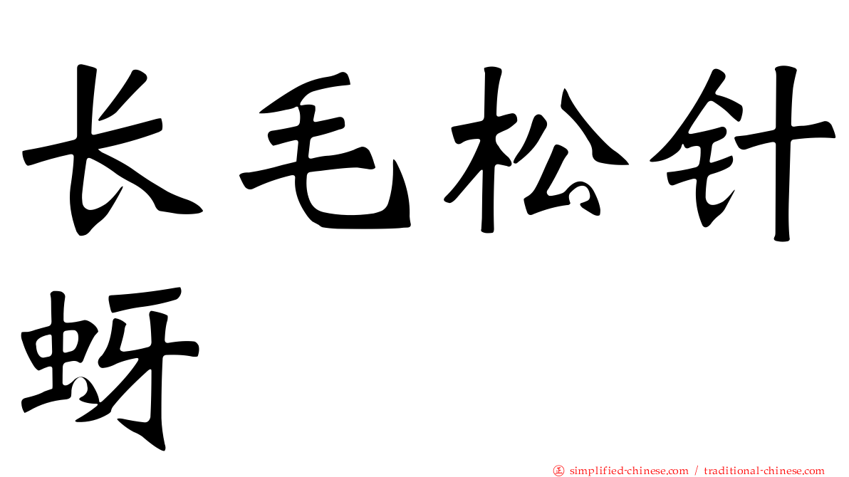 长毛松针蚜
