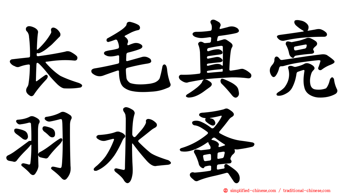 长毛真亮羽水蚤