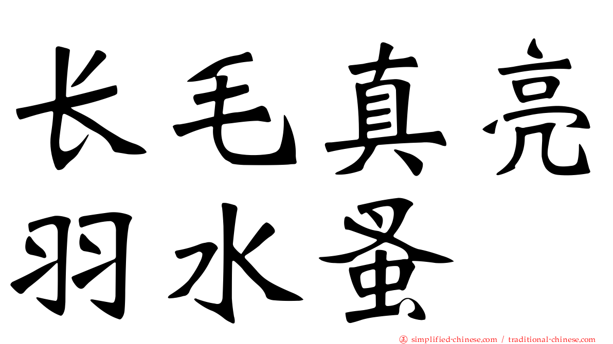 长毛真亮羽水蚤