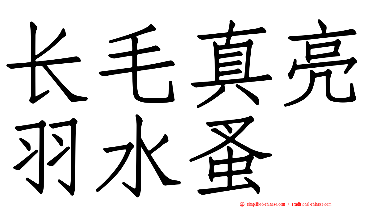 长毛真亮羽水蚤