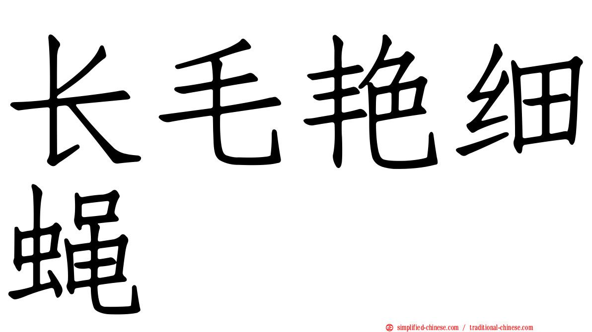 长毛艳细蝇