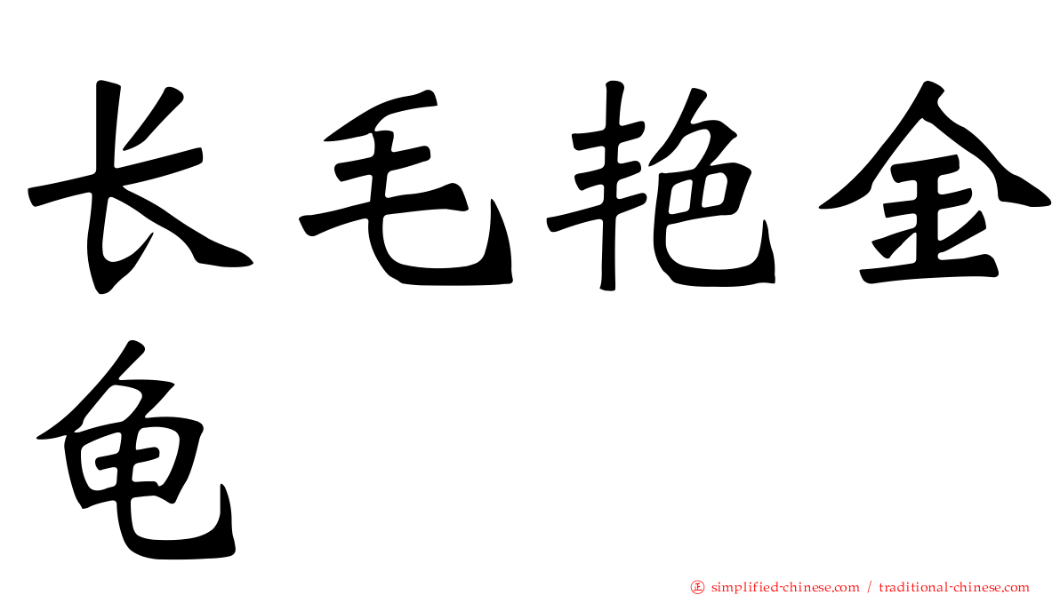 长毛艳金龟