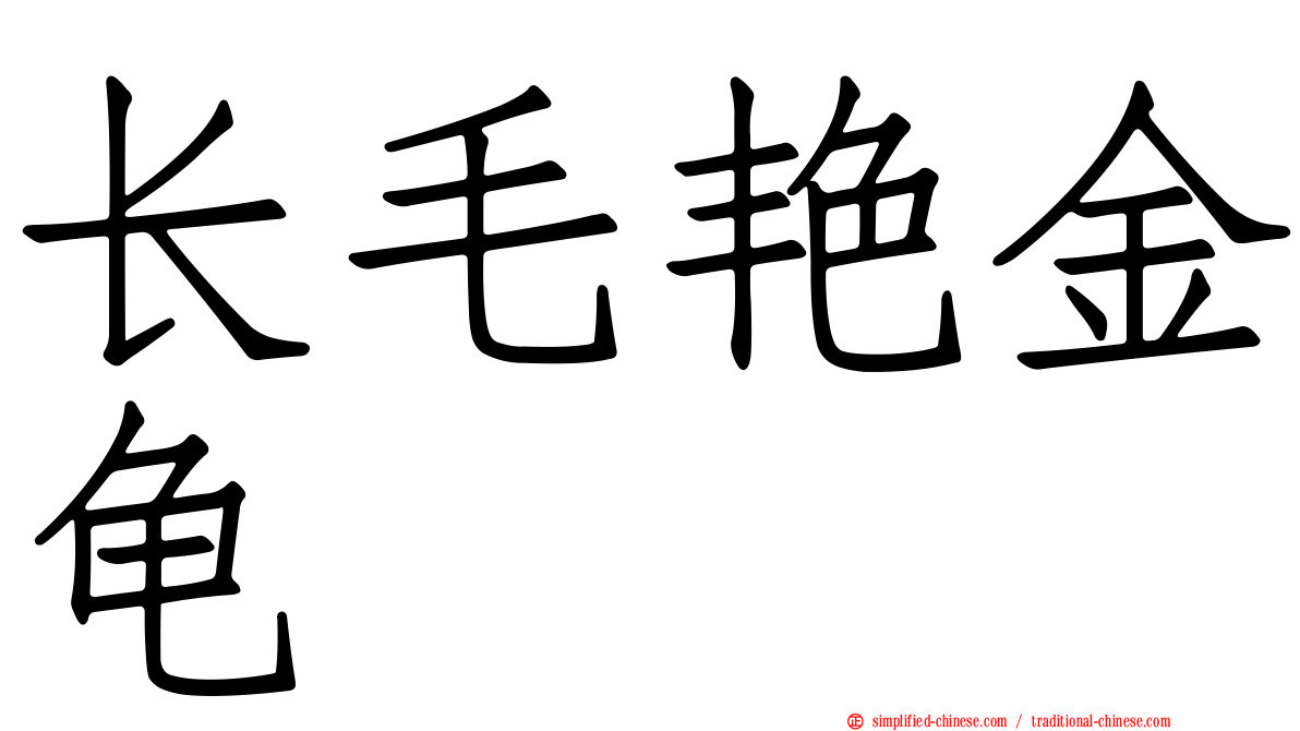 长毛艳金龟