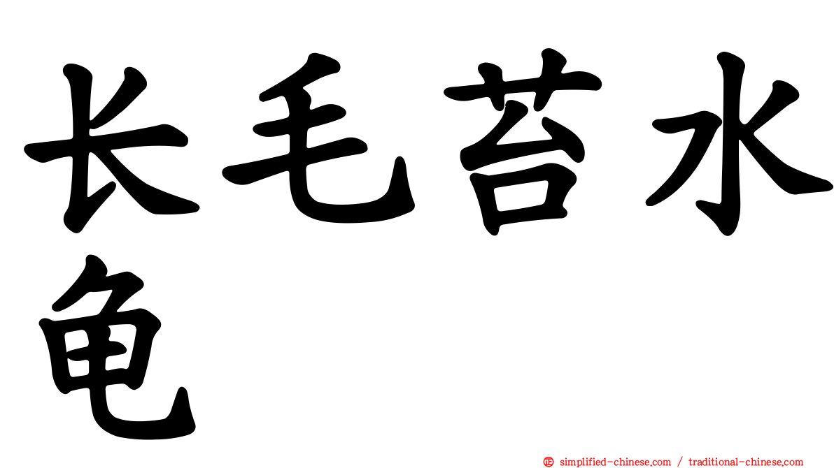 长毛苔水龟