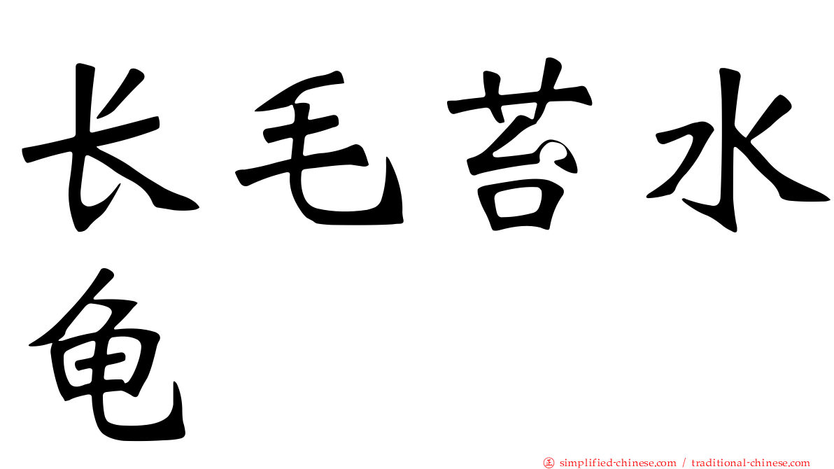 长毛苔水龟
