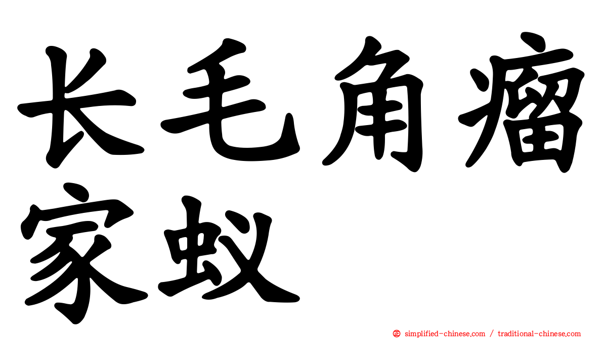 长毛角瘤家蚁