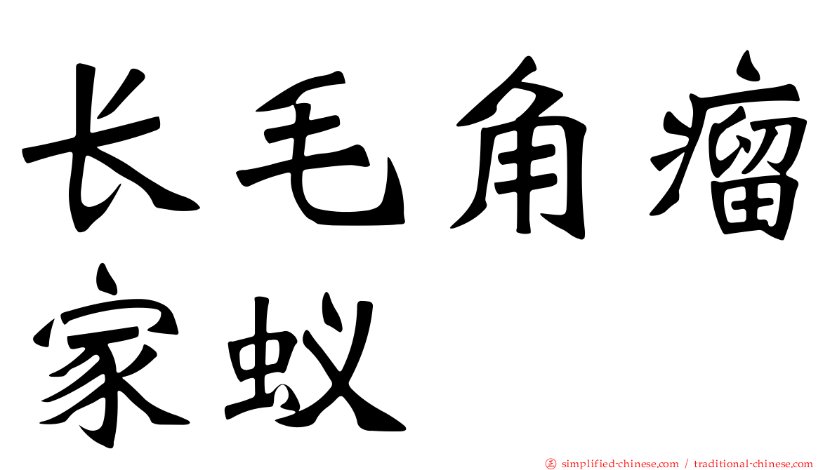长毛角瘤家蚁
