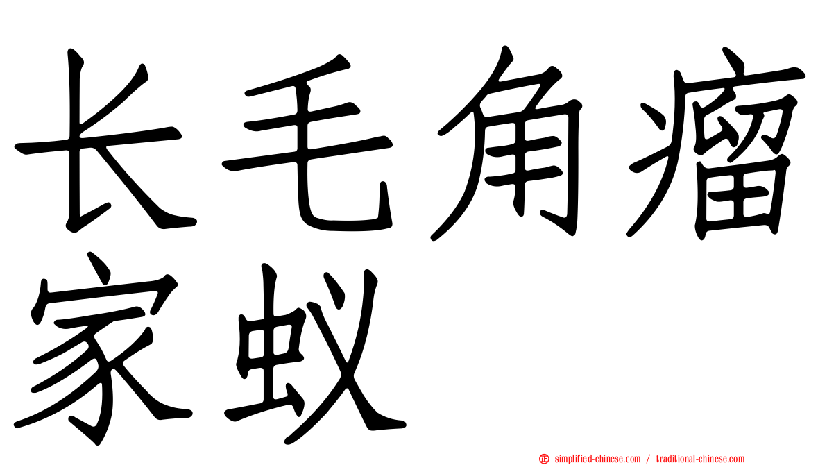 长毛角瘤家蚁
