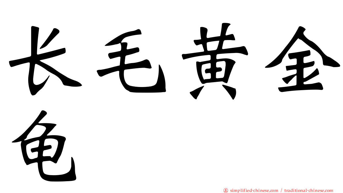 长毛黄金龟