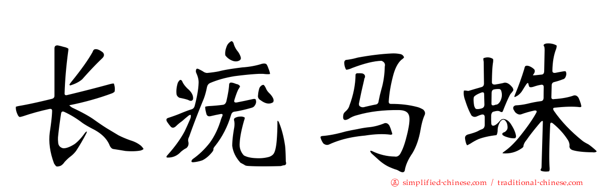 长疣马蛛