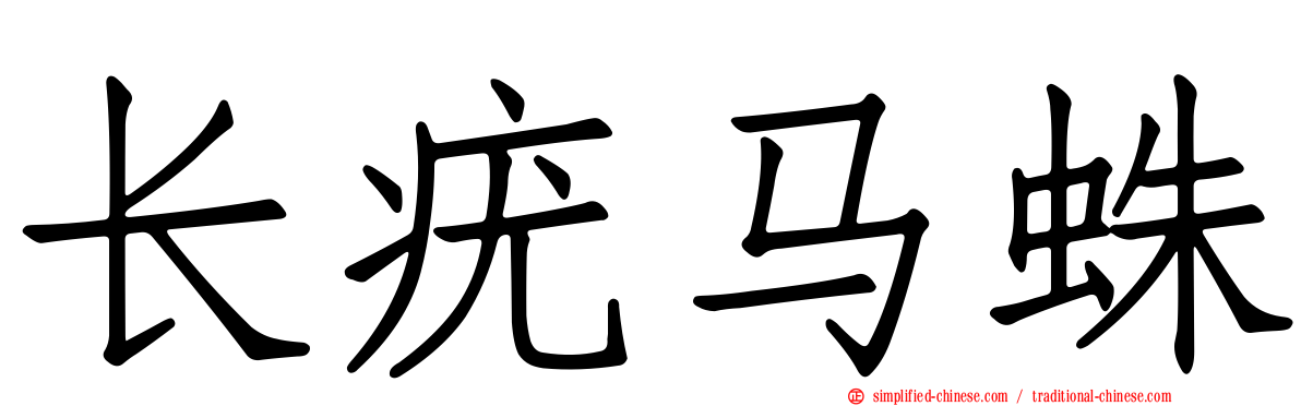 长疣马蛛