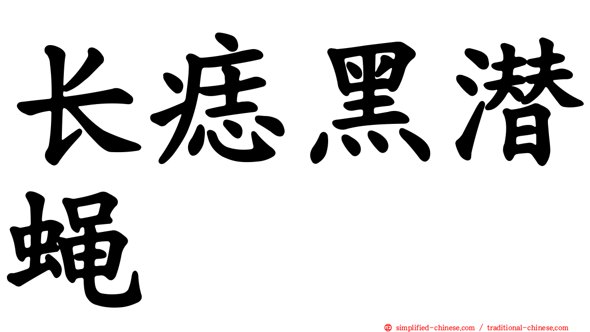 长痣黑潜蝇