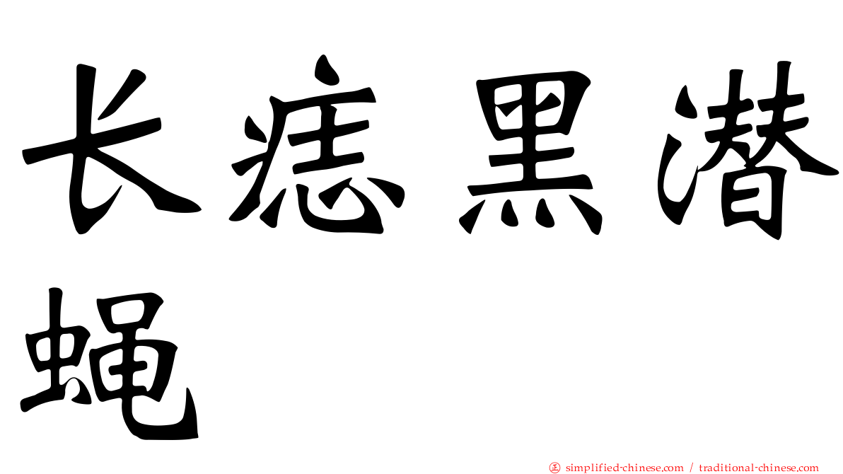 长痣黑潜蝇