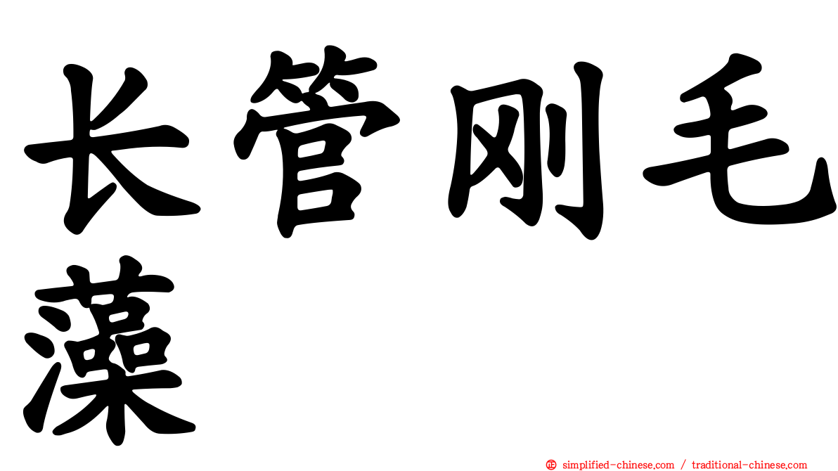 长管刚毛藻