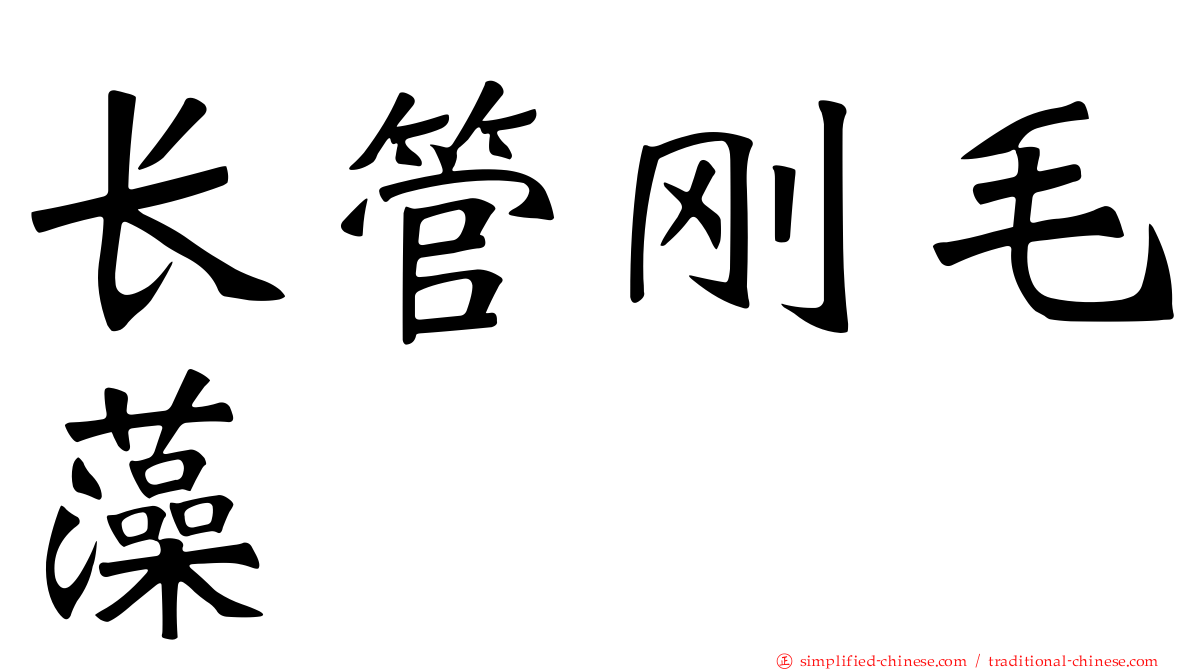长管刚毛藻