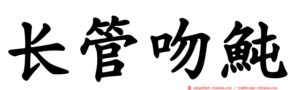 长管吻鲀