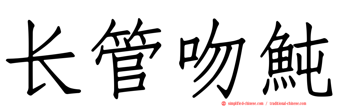 长管吻鲀