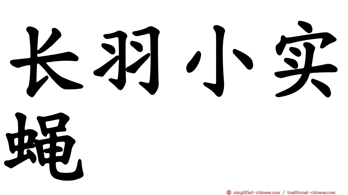 长羽小实蝇