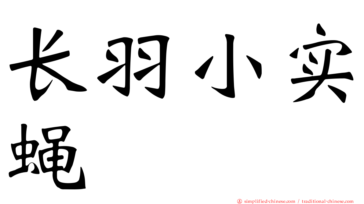 长羽小实蝇
