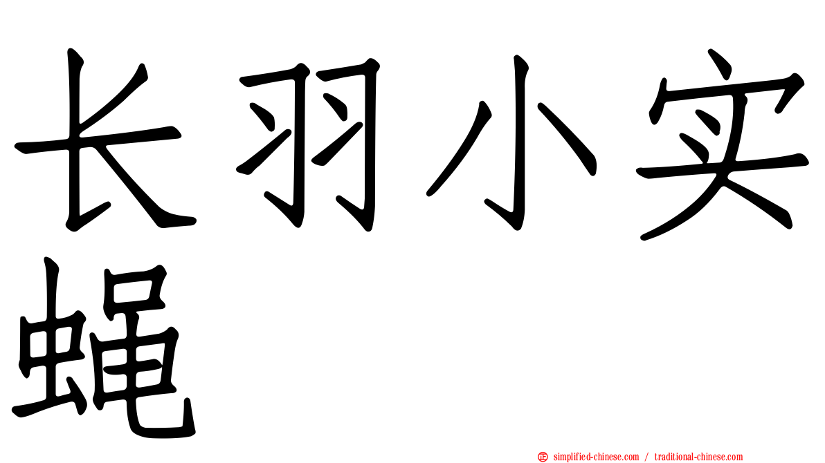 长羽小实蝇