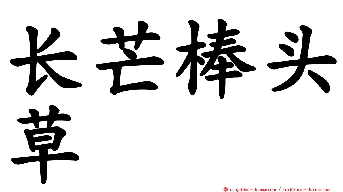 长芒棒头草