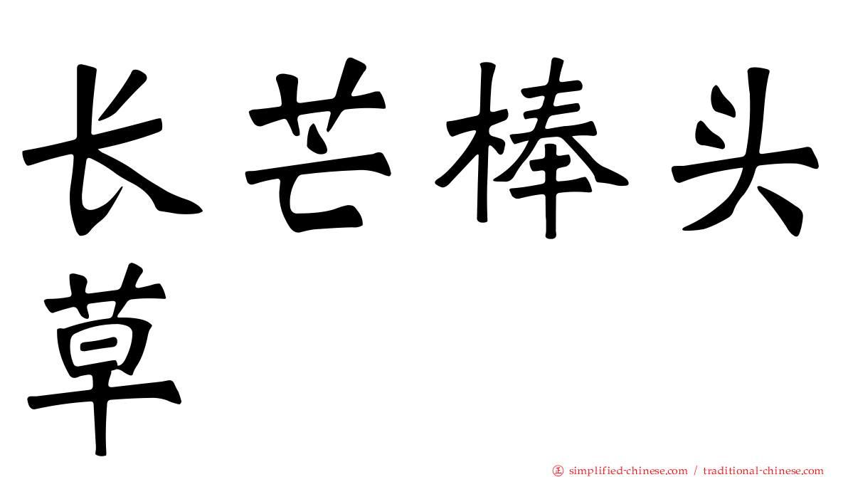 长芒棒头草