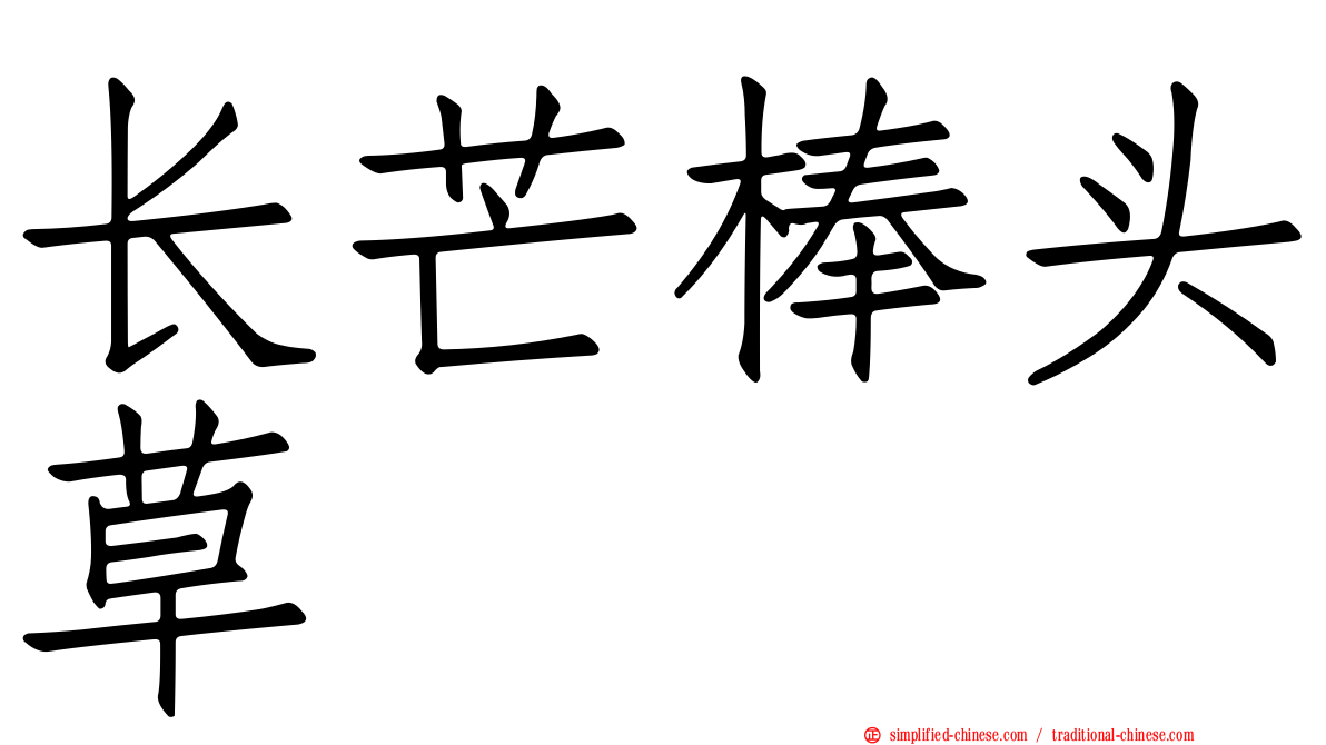 长芒棒头草
