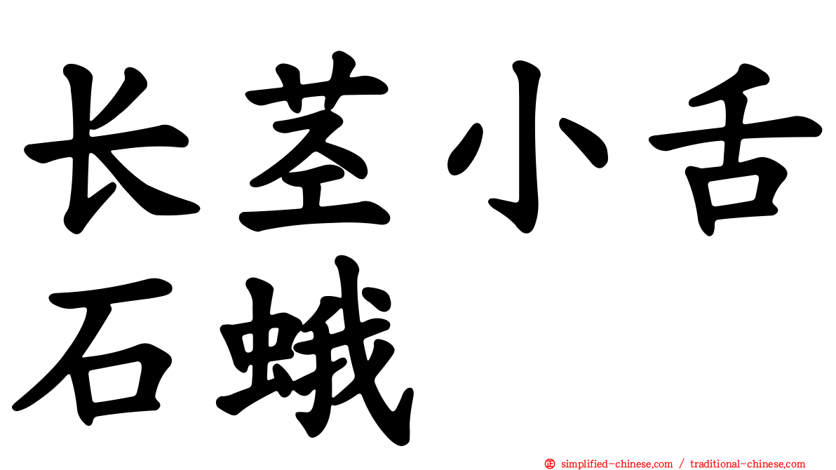 长茎小舌石蛾