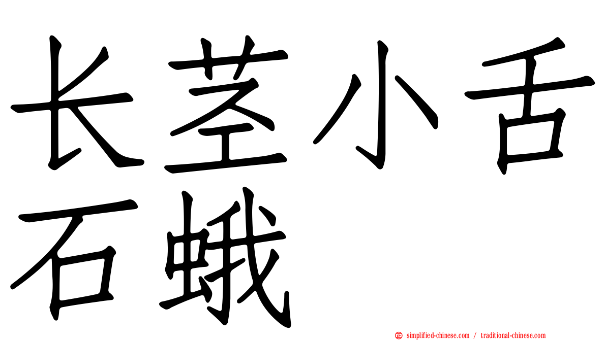 长茎小舌石蛾