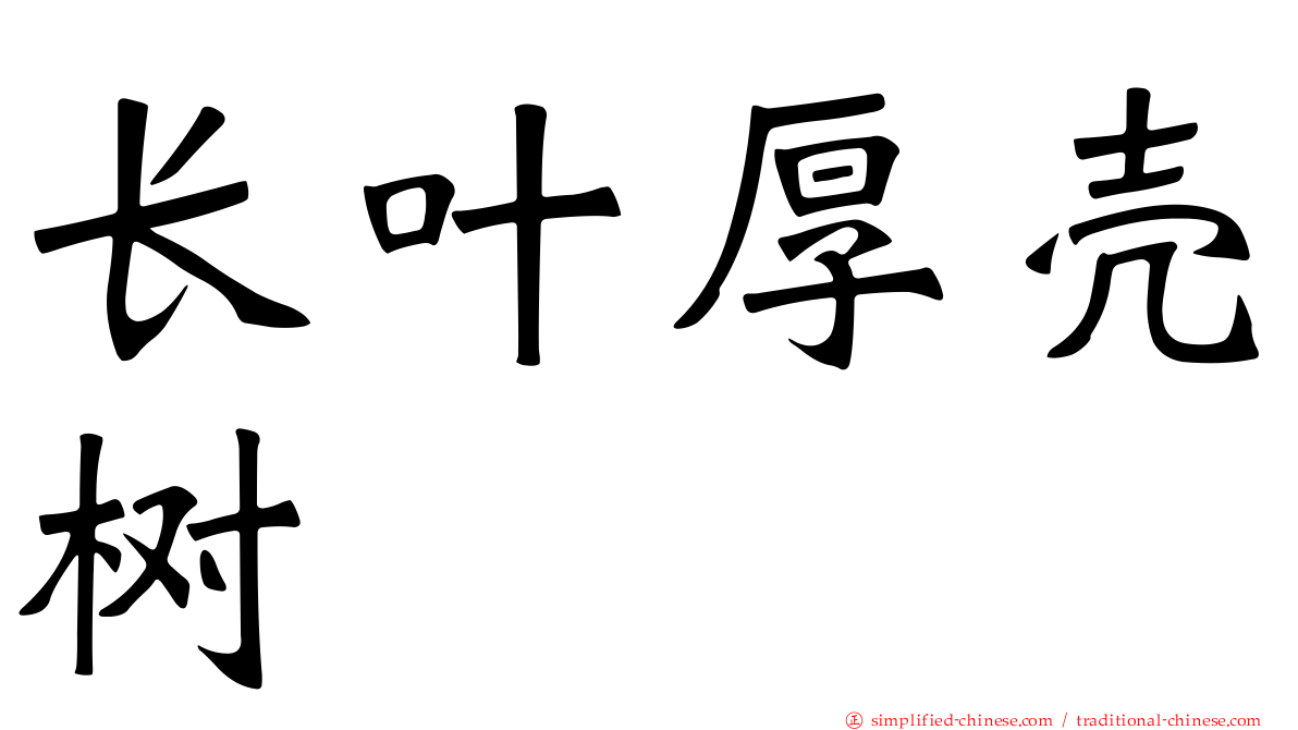 长叶厚壳树