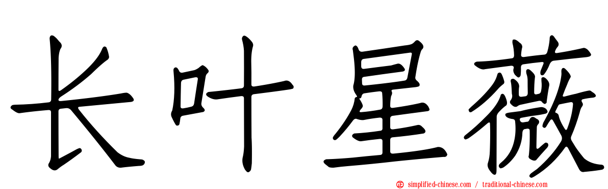 长叶星薇