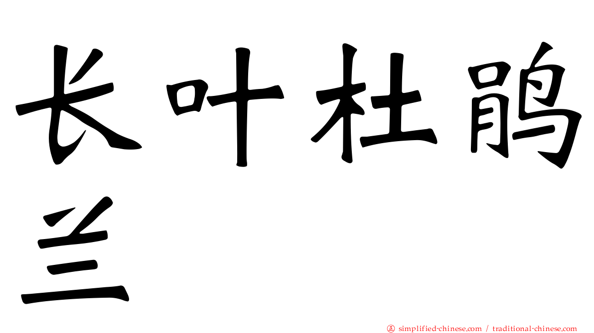长叶杜鹃兰