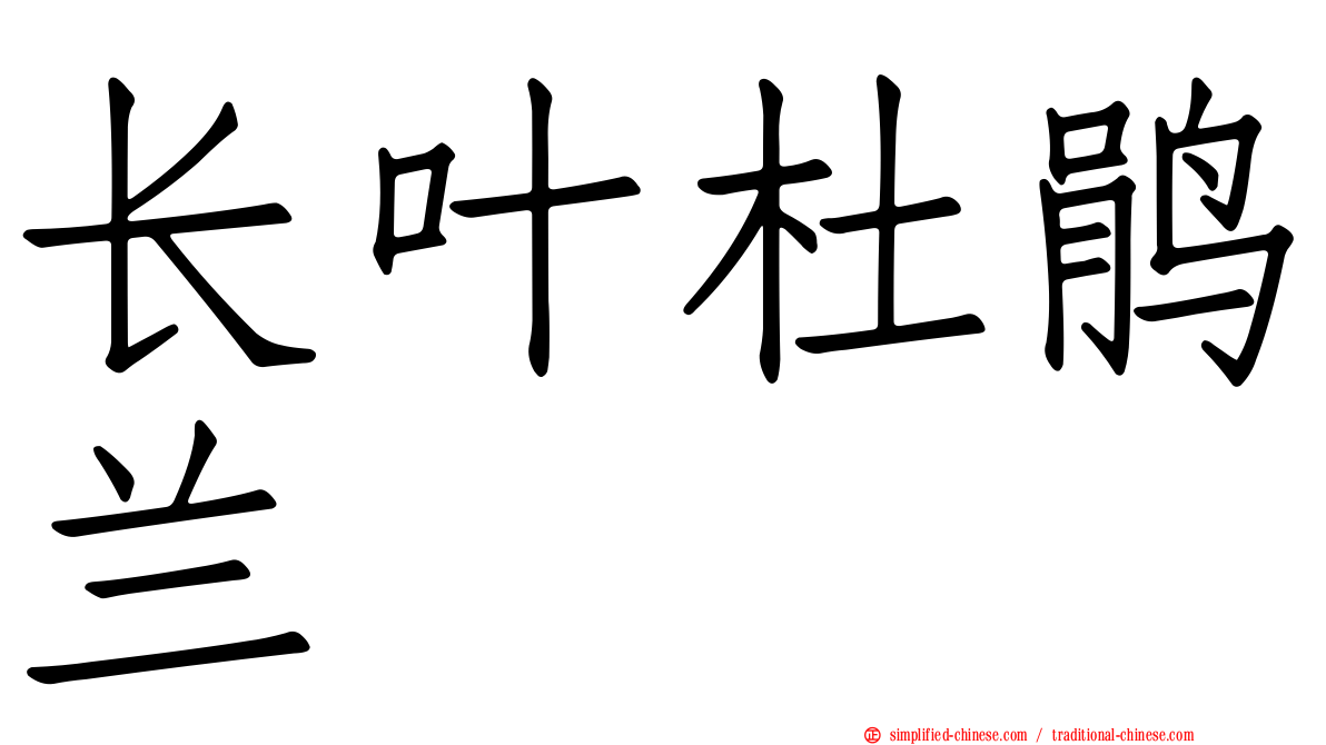 长叶杜鹃兰