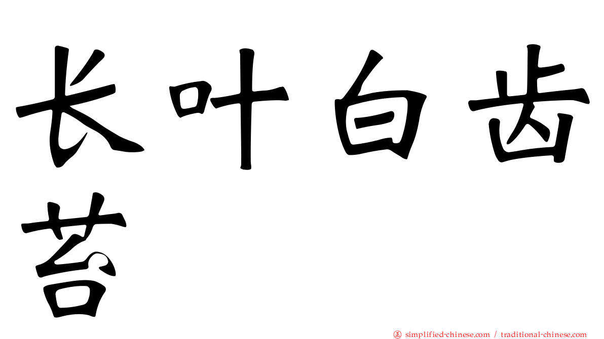 长叶白齿苔