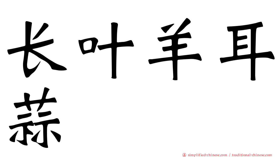 长叶羊耳蒜