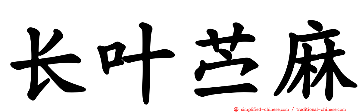 长叶苎麻