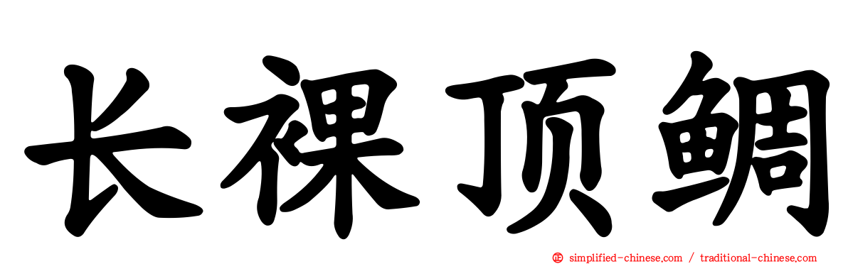 长裸顶鲷