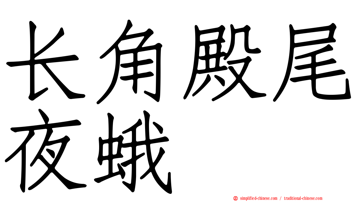 长角殿尾夜蛾