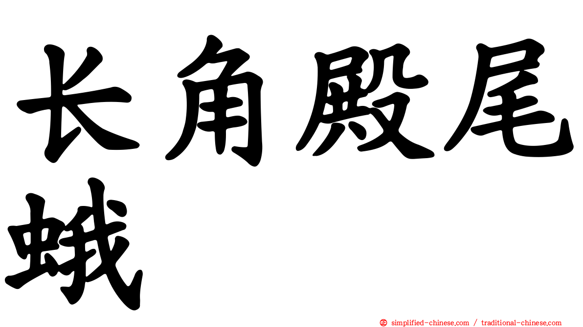 长角殿尾蛾