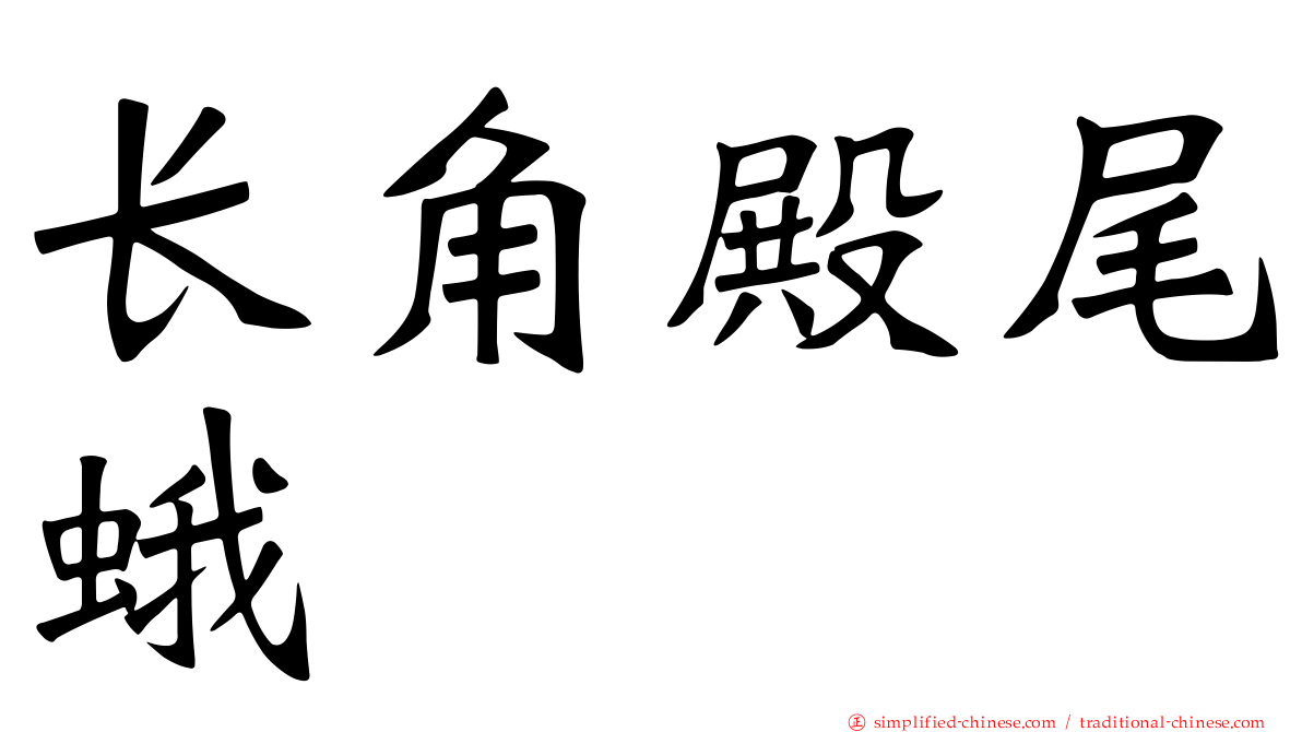 长角殿尾蛾