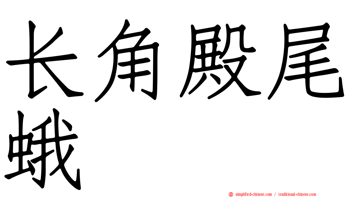长角殿尾蛾
